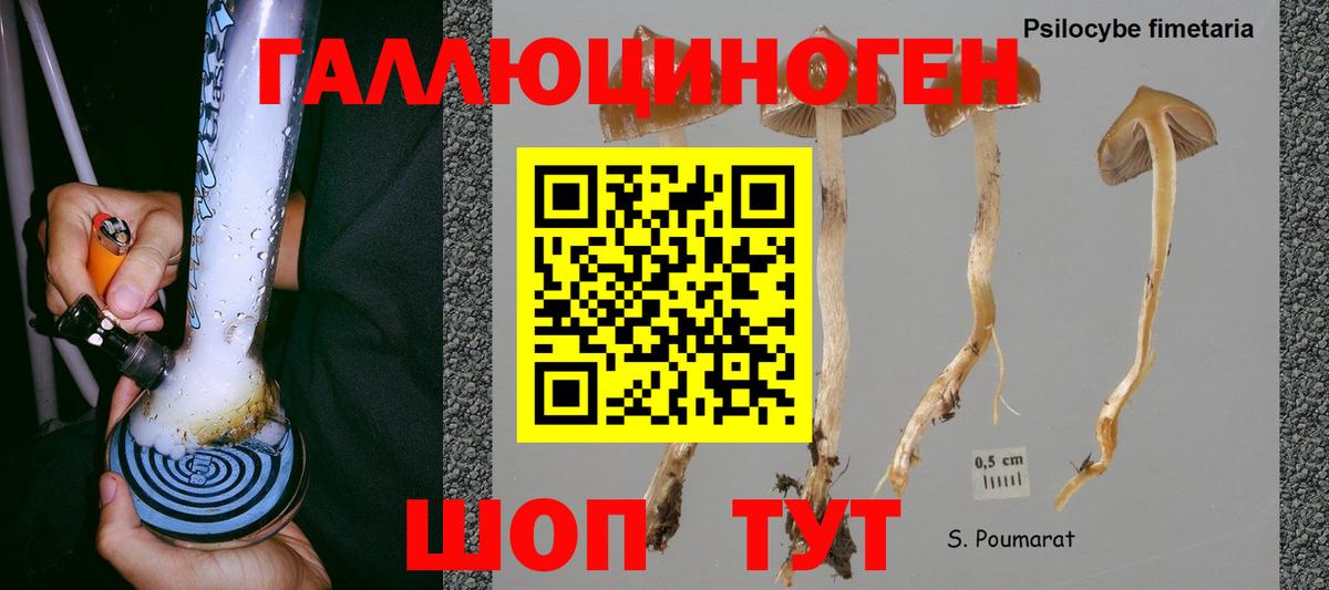 сколько стоит  Псилоцибиновые грибы MAGIC MUSHROOMS  Вход с VPN  Рославль 